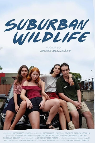 Suburban Wildlife