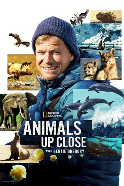 Animals Up Close with Bertie Gregory - Season 1